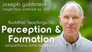 Buddhist Teachings on Perception & Formation with Joseph Goldstein – Insight Hour Ep. 224 (SSS #21)