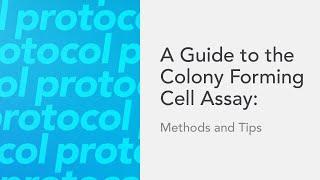 A Guide to the Colony Forming Cell Assay: Methods and Tips