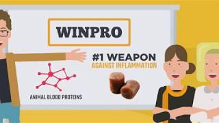 WINPRO Animation - What is WINPRO and how does it work?