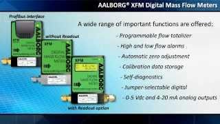 Mass Flow Meter AALBORG