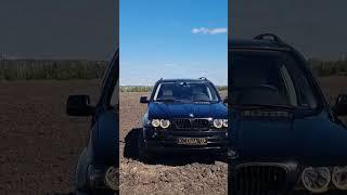 BMW X5 E53 и Angree Girl  в солнечный день