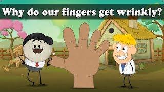Why do our fingers get wrinkly? | #aumsum #kids #science #education #children