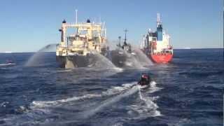 Nisshin Maru Boxes Bob Barker Between Itself and Fuel Tanker, Causes Multiple Collisions