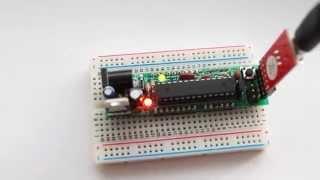 DC Boarduino- DIY Arduino- www.buildcircuit.net