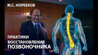 Практики для восстановления позвоночника в любом возрасте. М.С. Норбеков