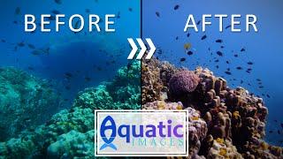 UNDERWATER WHITE BALANCE || Get PERFECT underwater colors!