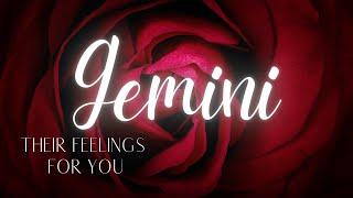 GEMINI LOVE TODAY- THEY ARE DETERMINED TO WIN YOU BACK, GEMINI!! ️