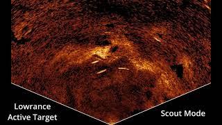 Lowrance ActiveTarget im Scout Mode