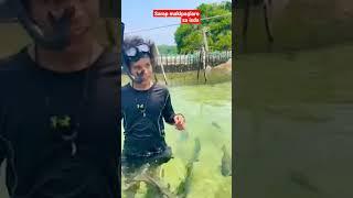 fish feeding sa sorsogon #shortvideo  #reels #shorts  @mindorayontv