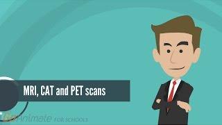 How do MRI, PET and CAT scans work?