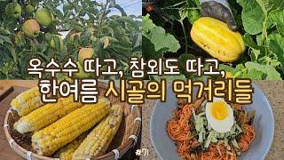 sub)first corn harvest! picking fruits and veggies, radish kimchi, eggplant pancakes, spicy noodle