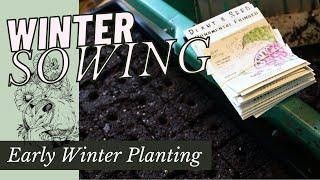 WHAT I'M WINTER SOWING/DIRECT SOWING IN FEBRUARY -