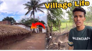 Explore Odisha Village  || Village Life ️