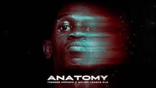 Tsebebe x Major League Djz Anatomy (Official Audio)