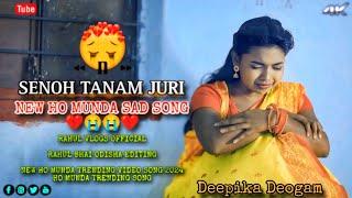 Senoh Tanam Juri || New Ho Munda Video 2024 || New Ho Munda Sad Song || New Ho Munda Song