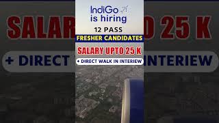 Indigo Job Vacancy 2023 For Freshers #privatejobs #indigojobs #airlinesjobs #jobnow247 #job2023