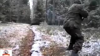 wild boar hunting.  Снайпер на охоте,охота на кабана, прикол !!!