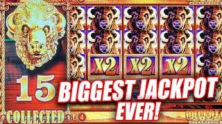 BIGGEST JACKPOT EVER ON BUFFALO GOLD  ALL 15 HEADS  MAX BET HIGH LIMIT JACKPOT!