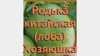 Редька китайская Хозяюшка (khozyayushka)  редька Хозяюшка обзор: как сажать семена редьки Хозяюшка