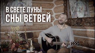 Сны ветвей | В свете луны