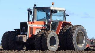 Massey Ferguson 2685 preparing seedbed with Kongskilde Triple K Cultivator