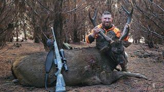 NSW State Forest Sambar Hunt with Fitzy - 30 Inch Samba June 24