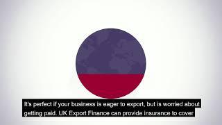 Export Insurance Policy