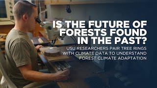 USU Researchers Pair Tree Rings with Climate Data to Understand Forest Climate Adaptation