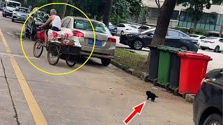 Homeless puppy takes courage to try to catch up to old man's garbage truck
