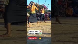 PERESEAN LOMBOK #shotsvideo #lombokviral #fyp #budayaindonesia #shotsviralvideo #budaya