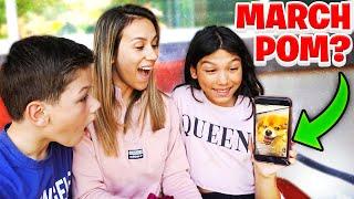 We Think We FOUND Our MISSING Puppy MARCH POM On TIKTOK!!! **EMOTIONAL**