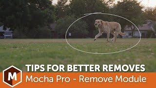 Mocha Pro: Tips for Faster, Better Object Removals