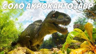 С Пляжного БОМЖА до ОГРОМНОГО МОНСТРА за СТРИМ в ARK!