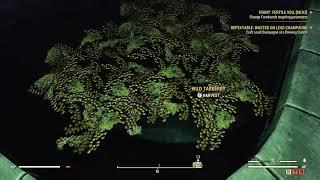 Where to Find Tarberry - Wasted on Lead Champagne - Fallout 76