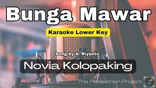 Bunga Mawar - Novia Kolopaking - Karaoke Lower Key