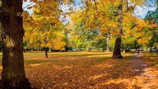 Pittville Park, Cheltenham  -  Autumn Colours - 2015