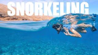 THE BEST SNORKELING IN MAUI (Is Molokini Crater Really the Best?)