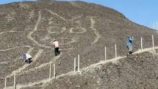 Mysterious 37m feline geoglyph discovered in Peru near famous Nazca Lines