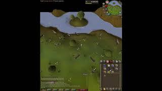 Osrs reldo beginner clue hot and cold