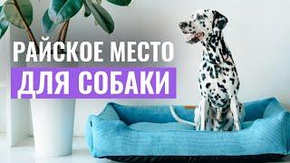 ЛЕЖАНКА, о которой МЕЧТАЕТ КАЖДАЯ СОБАКА! Как выбрать идеальную лежанку для собаки?