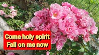 Come holy spirit fall on me now//cover Jenny alaman