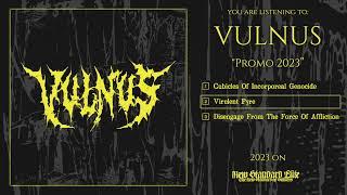 Vulnus - "Promo 2023" (New Standard Elite | 2023)