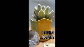 Succulent Planters from Studio Rawa