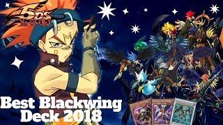 Yu-Gi-Oh! Best Blackwing Deck! 2018 Ideal Build, from your own Master of Feathers