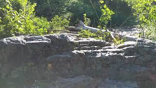 Heron River at Big Erics Bridge