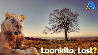 Lost Majesty: Loonkito, One of the Oldest Lions, Lost in Kenya | @atwenglish