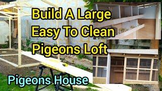 Build Your Own Easy To Clean Large Pigeons Loft