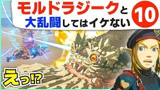 [攻略] ブッ飛び技から大乱闘まで！モルドラジークの極秘ネタ１０選 [ゼルダの伝説 ブレスオブザワイルド]