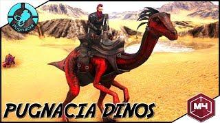 ARK: Pugnacia Dinos - FULL MOVEMENTSPEED GALLIMIMUS UND PRIMAL GRIFFIN! (Season2/Folge30)