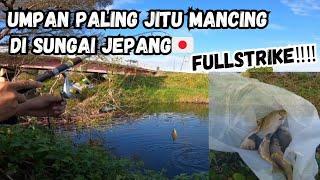 full strike pakek umpan jitu‼️‼️|mancing di sungai jepang